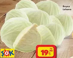 Beyaz Lahana kg Beyaz Lahana kg