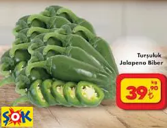 Turşuluk Jalapeno Biber kg Turşuluk Jalapeno Biber kg