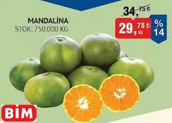 Mandalina kg Mandalina kg