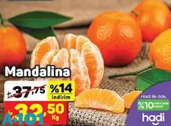 Mandalina kg Mandalina kg
