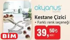 Okyanus Home Kestane Çizici Okyanus Home Kestane Çizici