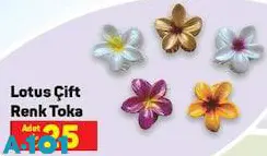 Lotus Çift Renk Toka Lotus Çift Renk Toka