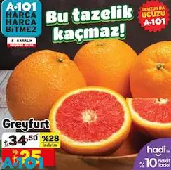 Greyfurt Kg Greyfurt Kg
