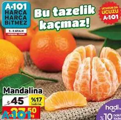 Mandalina Kg Mandalina Kg