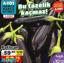 Patlıcan Kg Patlıcan Kg
