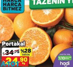 Portakal Kg Portakal Kg
