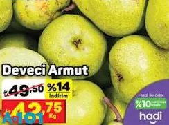 Deveci Armut kg Deveci Armut kg