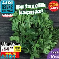 Maydanoz Adet Maydanoz Adet
