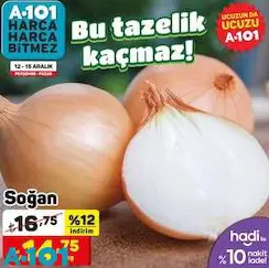Soğan kg Soğan kg