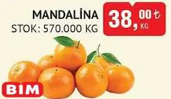 Mandalina kg Mandalina kg