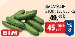 Salatalık kg Salatalık kg