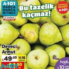 Deveci Armut kg Deveci Armut kg
