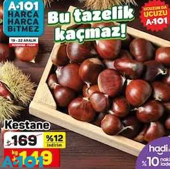Kestane kg Kestane kg