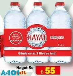 Hayat Su 6x1L Hayat Su 6x1L