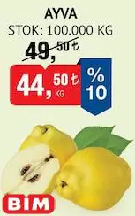 Ayva Kg Ayva Kg