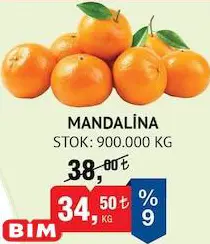 Mandalina Kg Mandalina Kg