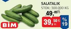 Salatalık Kg Salatalık Kg