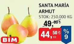 Santa Maria Armut Kg Santa Maria Armut Kg