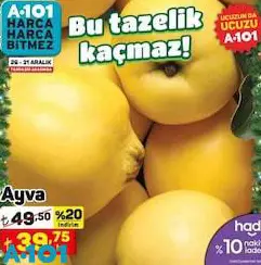 Ayva Kg Ayva Kg