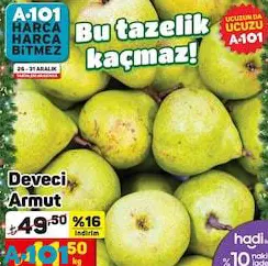 Deveci Armut Kg Deveci Armut Kg