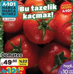 Domates kg Domates kg
