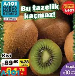 Kivi Kg Kivi Kg
