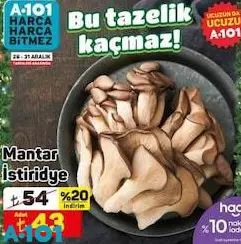 Mantar İstiridye Paket Adet Mantar İstiridye Paket Adet