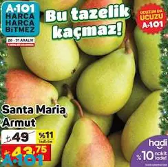 Santa Maria Armut Kg Santa Maria Armut Kg