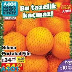 Sıkma Portakal File Kg Sıkma Portakal File Kg