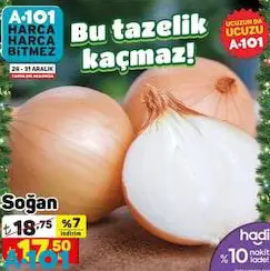 Soğan Kg Soğan Kg