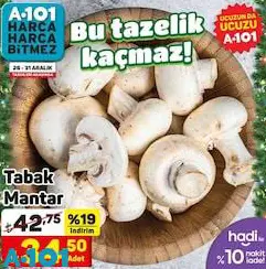 Tabak Mantar Adet Tabak Mantar Adet