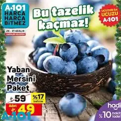 Yaban Mersini Paket Yaban Mersini Paket