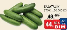 Salatalık kg Salatalık kg