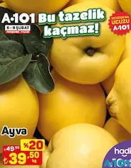 Ayva kg Ayva kg