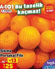 Sıkmalık Portakal File kg Sıkmalık Portakal File kg