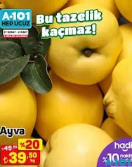 Ayva Kg Ayva Kg