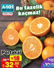 Portakal Kg Portakal Kg