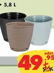 Sahra Saksı Çeşitleri 5,8 L Sahra Saksı Çeşitleri 5,8 L