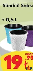 Sümbül Saksı Çeşitleri 0,6 L Sümbül Saksı Çeşitleri 0,6 L