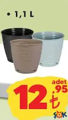 Sahra Saksı Çeşitleri 1,1 L Sahra Saksı Çeşitleri 1,1 L