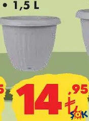 Lale Saksı Çeşitleri 1,5 L Lale Saksı Çeşitleri 1,5 L