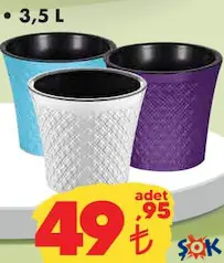 Sümbül Saksı Çeşitleri 3,5 L Sümbül Saksı Çeşitleri 3,5 L