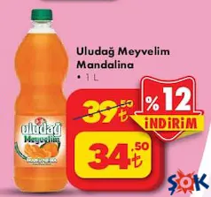 Uludağ Meyvelim Mandalina 1 L Uludağ Meyvelim Mandalina 1 L