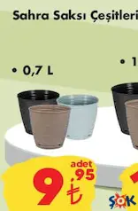 Sahra Saksı Çeşitleri 0,7 l Sahra Saksı Çeşitleri 0,7 l