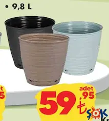Sahra Saksı Çeşitleri 9,8 L Sahra Saksı Çeşitleri 9,8 L