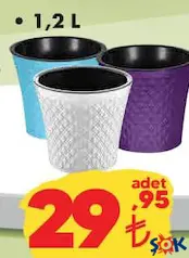 Sümbül Saksı Çeşitleri 1,2 L Sümbül Saksı Çeşitleri 1,2 L