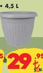 Lale Saksı Çeşitleri 4,5 L Lale Saksı Çeşitleri 4,5 L