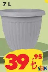 Lale Saksı Çeşitleri 7 L Lale Saksı Çeşitleri 7 L
