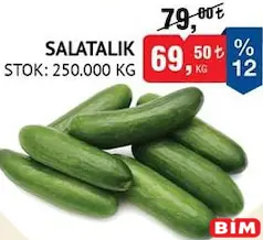 Salatalık Kg Salatalık Kg