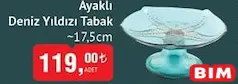 Colorina Ayaklı Deniz Yıldızı Tabak 17,5 cm Colorina Ayaklı Deniz Yıldızı Tabak 17,5 cm